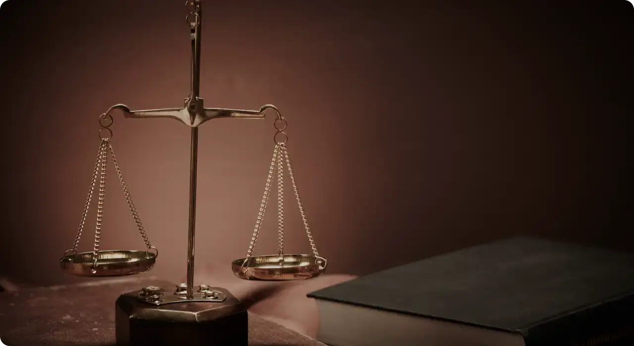 결과 정리 및 지원